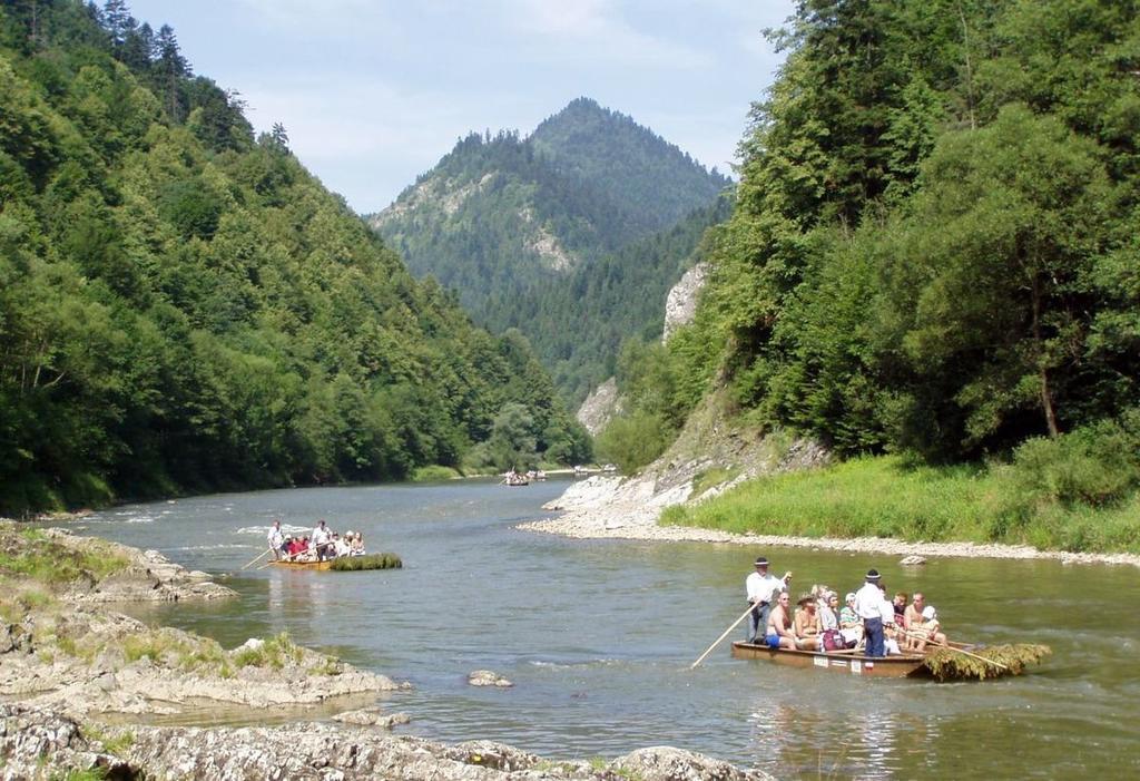 Pinewood Valley Oasis Vyšné Ružbachy Eksteriør bilde