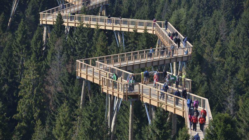 Pinewood Valley Oasis Vyšné Ružbachy Eksteriør bilde